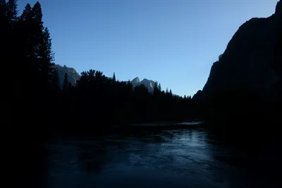 DSC_2428 (Large).JPG